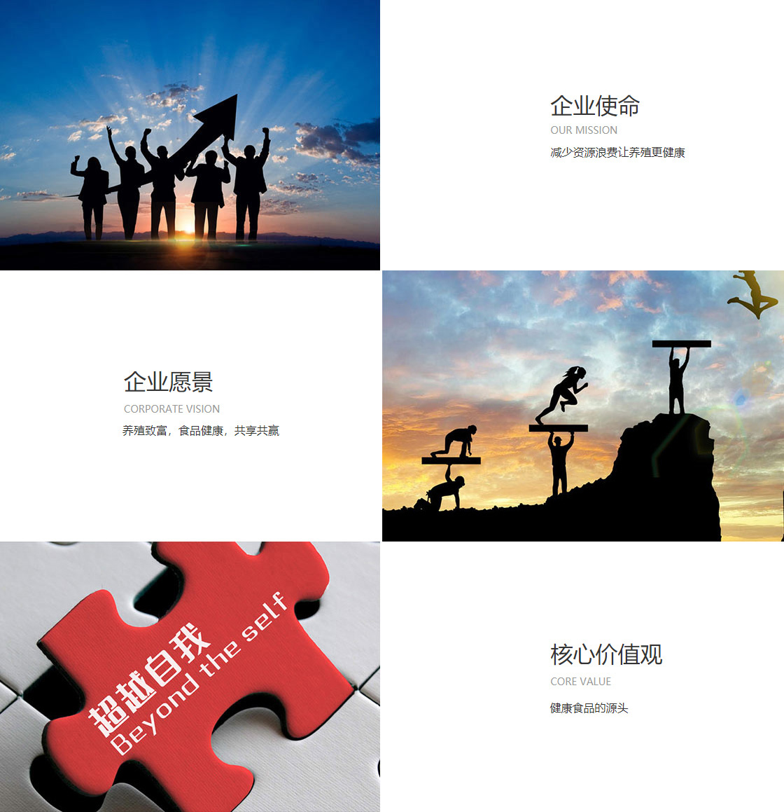 emc易倍官方(图1)
